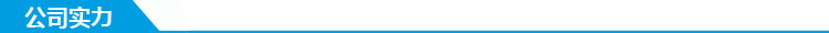 公司實(shí)力5