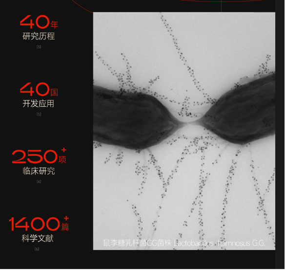 1679363933786077.png image.png