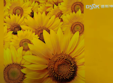 1687744658455006.png image.png